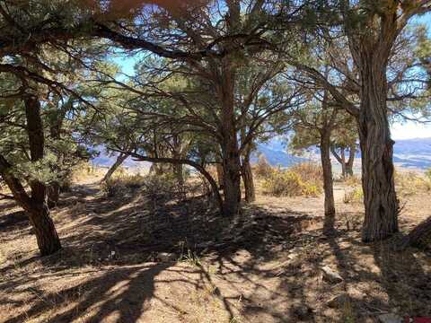 TBD (Lot 4) Pine Drive, Ridgway, CO 81432