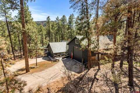 289 Pine Tree Drive, Bayfield, CO 81122