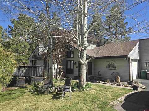 338 Whispering Pines Drive, Durango, CO 81301