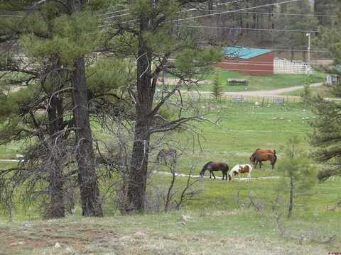 6 Laurel Drive, Pagosa Springs, CO 81147