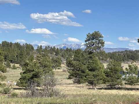 748 Trails Boulevard, Pagosa Springs, CO 81147