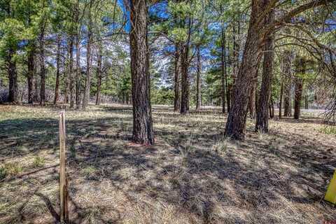 824 Antelope Avenue, Pagosa Springs, CO 81147