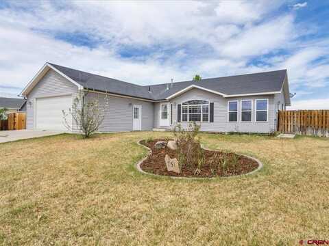 751 Silver Drive, Montrose, CO 81401