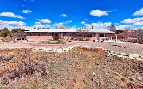 27980 Road T, Dolores, CO 81323