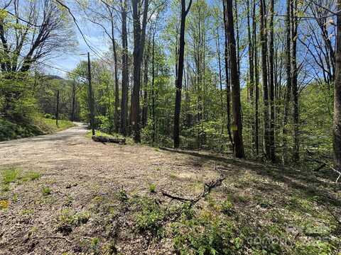 Tbd (b) Browning Branch Road, Waynesville, NC 28786