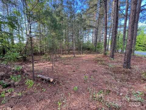 2923 Poors Ford Road, Rutherfordton, NC 28139