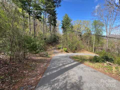 Tbd (c) Chestnut Walk Drive, Waynesville, NC 28786