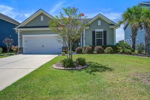234 Basket Grass Lane, Summerville, SC 29486