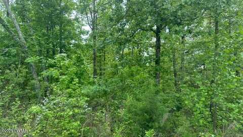 0 Arl Bailey Road, Finger, TN 38334