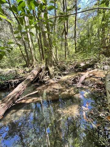 989 Alpha St., Midland City, AL 36350