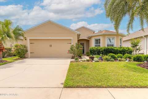 2672 Star Coral Lane, New Smyrna Beach, FL 32168