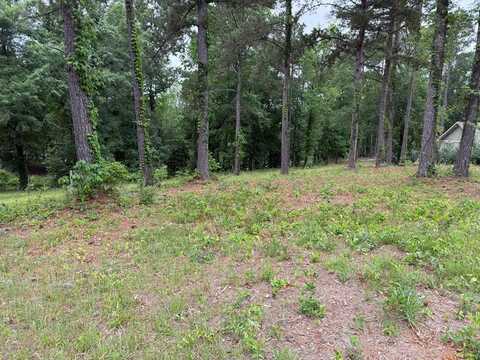 0 Powell Trace, Abbeville, AL 36310