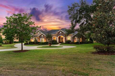10614 LOW OAK TERRACE, THONOTOSASSA, FL 33592