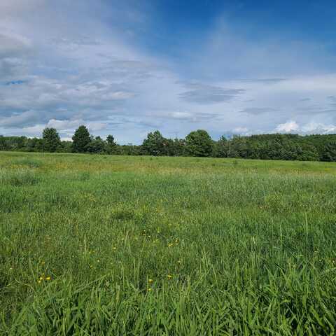 Lot 10-4 Osborne Road, Farmington, ME 04938