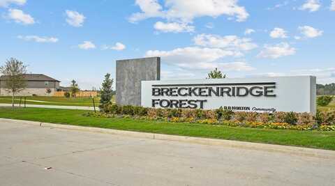 23915 Hilltop Canyon Lane, Spring, TX 77373