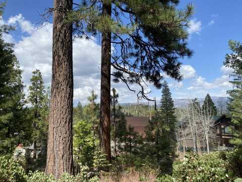 42482 Canyon Vista Lane, Shaver Lake, CA 93664