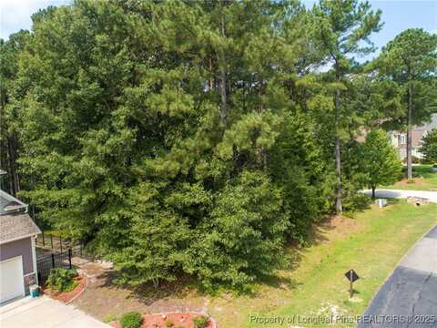 35 Barons (112) Run, Spring Lake, NC 28390