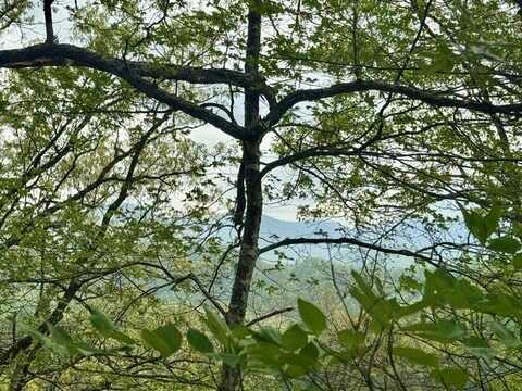 Lot 24 Bellaire Estates, Cullowhee, NC 28779