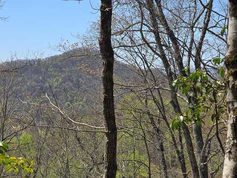 Pioneer Trail, Franklin, NC 28734