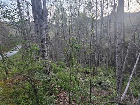 Lt 1 Running Water Cir, Sylva, NC 28779