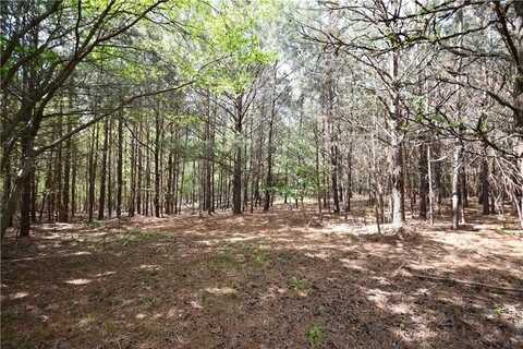 00001 Mt View Road, Buchanan, GA 30113