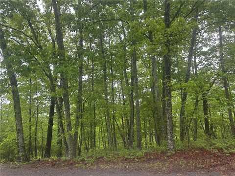 1417 Foxhound Trail NE, Ranger, GA 30734
