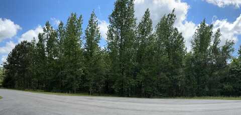 1403 DUNWOODY Place, Appling, GA 30802