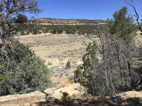3239 Hwy 53, Ramah, NM 87321