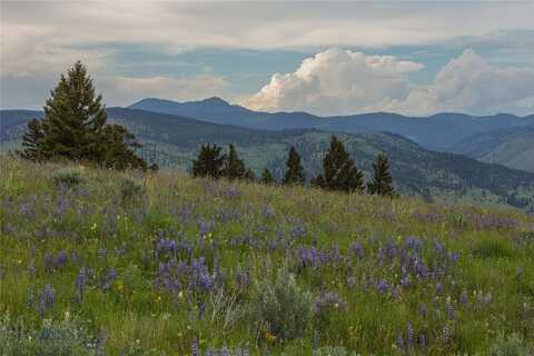 3 Tract, Bull Elk, Drummond, MT 59832