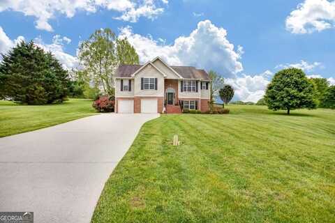 236 Five Oaks, Clarkesville, GA 30523