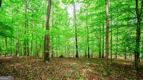 6855 Hardwood, Gainesville, GA 30506