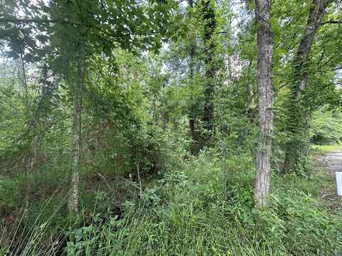 Lot 8 Tabony Ct, Walker, LA 70785