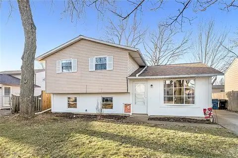 Spruce, NORTH RIDGEVILLE, OH 44039