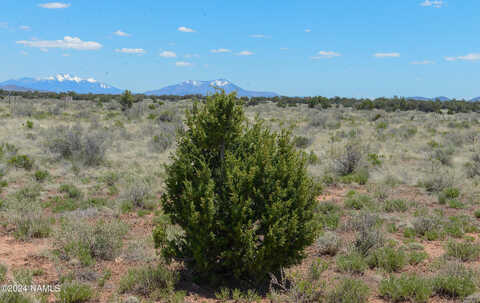 Silver Valley, WILLIAMS, AZ 86046