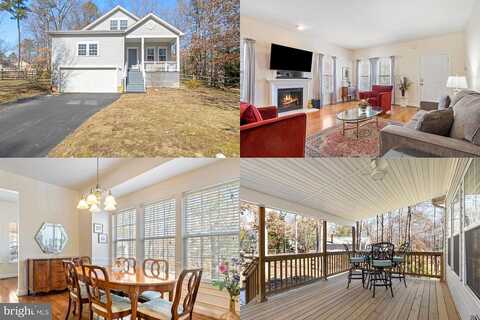 Welsh, RUTHER GLEN, VA 22546