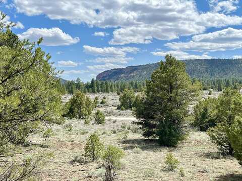Lot 5 Sagebrush Road, Ramah, NM 87321