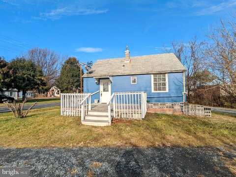 Fox, WINCHESTER, VA 22603