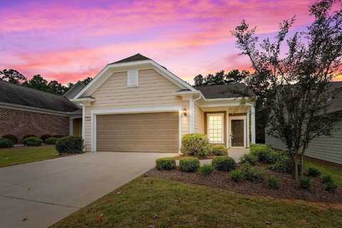 Larch Looper, GRIFFIN, GA 30223