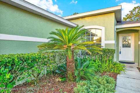 Banyan Hill, LAND O LAKES, FL 34639