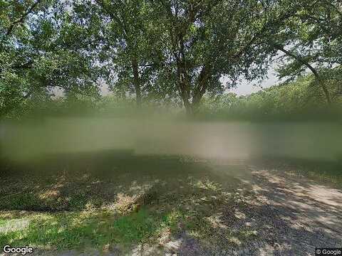 Meadowview, TAMPA, FL 33625