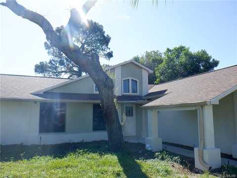 Kristina, LECANTO, FL 34461