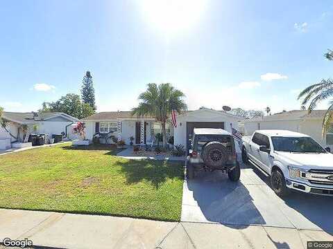 Domino, HOLIDAY, FL 34691