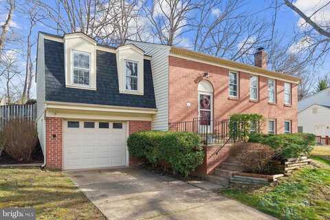 Whitson, SPRINGFIELD, VA 22153