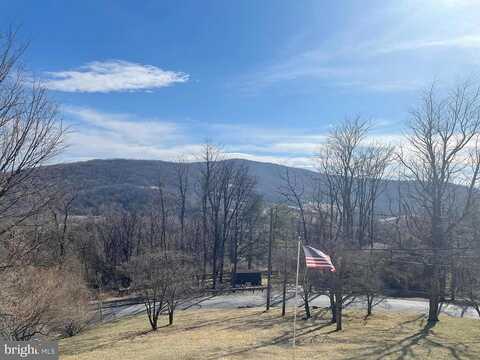Mcintosh, LINDEN, VA 22642