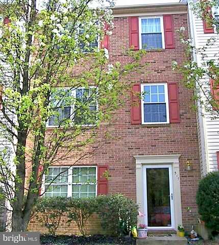 Clint, FREDERICKSBURG, VA 22405