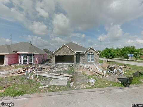 Elderberry, DICKINSON, TX 77539