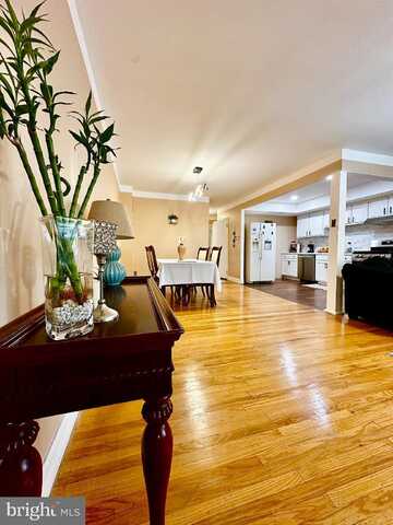 Keswick, PHILADELPHIA, PA 19114