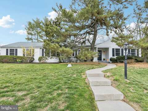 Princess, YARDLEY, PA 19067