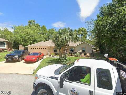 Coconut, HOMOSASSA, FL 34446