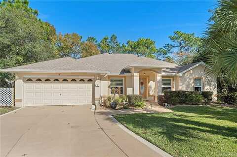 Coconut, HOMOSASSA, FL 34446